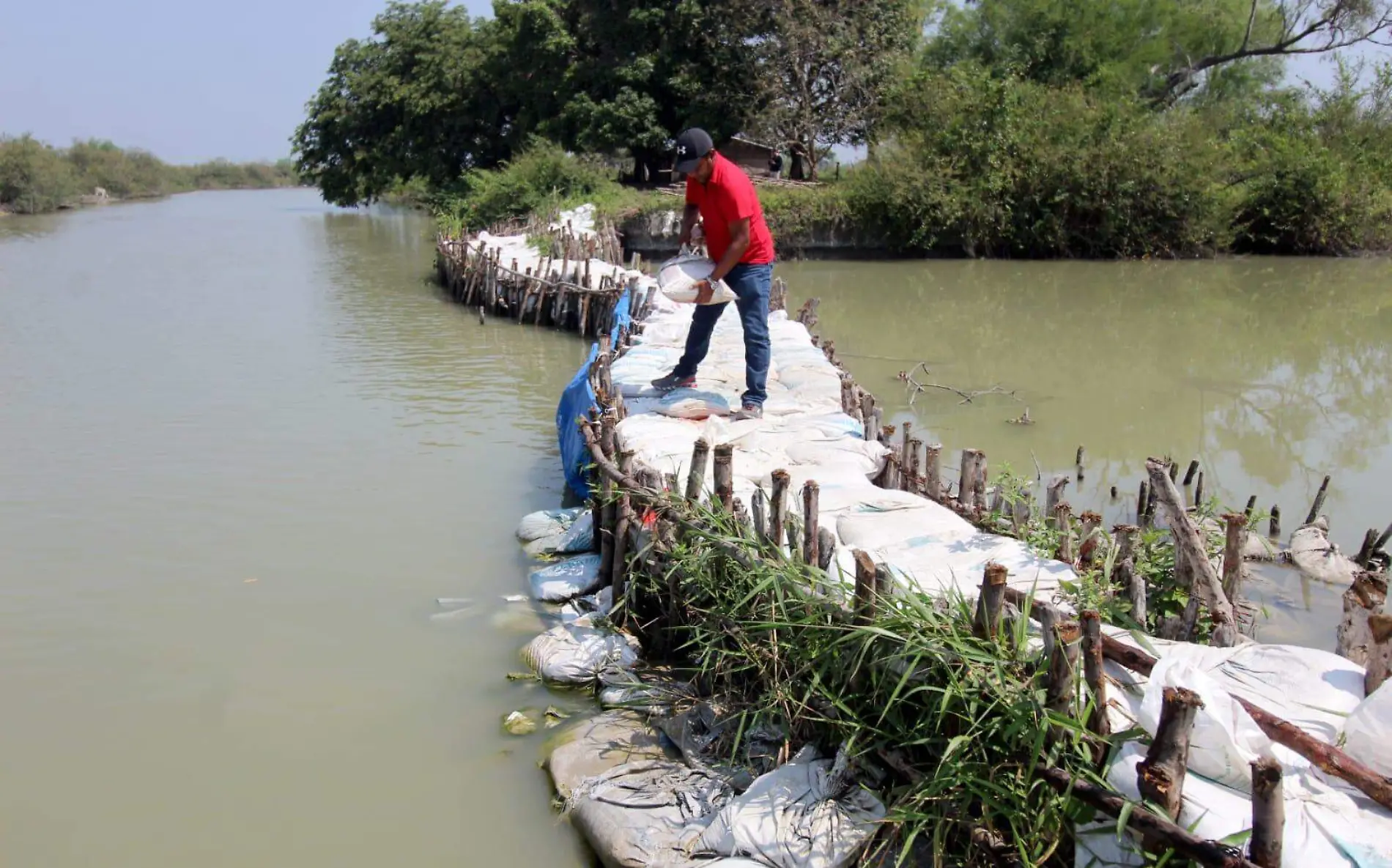 IP de Tampico quiere invertir en El Camalote 